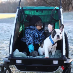 Remorque Vélo Thule Chariot Sport 2 7 Remorque Vélo Thule Chariot Sport 2 -Vélos Soldes Boutique remoruqe simple thule noir