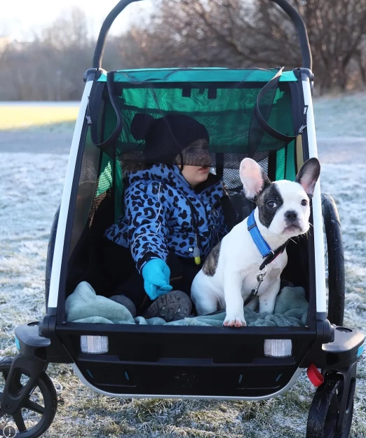 Remorque Vélo Thule Chariot Sport 2 5 Remorque Vélo Thule Chariot Sport 2 – Image 3